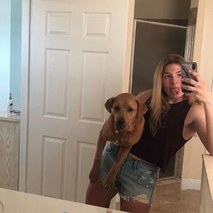 Meet your Posher, Sam